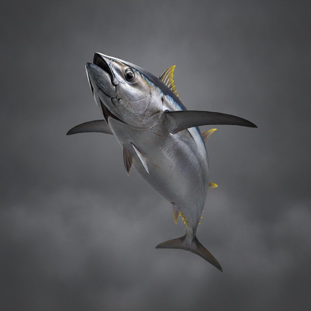 Tuna